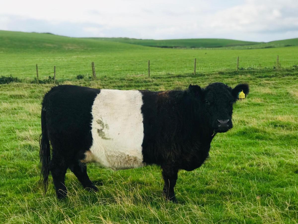 Bunnahabhain 5 - Farm Stay - Stunning Sea And Rural Views Странрар Экстерьер фото