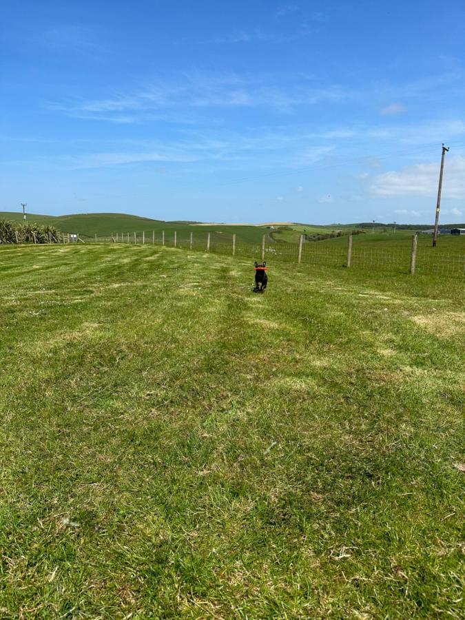 Bunnahabhain 5 - Farm Stay - Stunning Sea And Rural Views Странрар Экстерьер фото